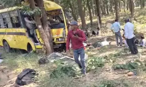 Chhattisgarh Bus Accident: पेड़ से टकराई बस, 5 की मौत, 32 घायल