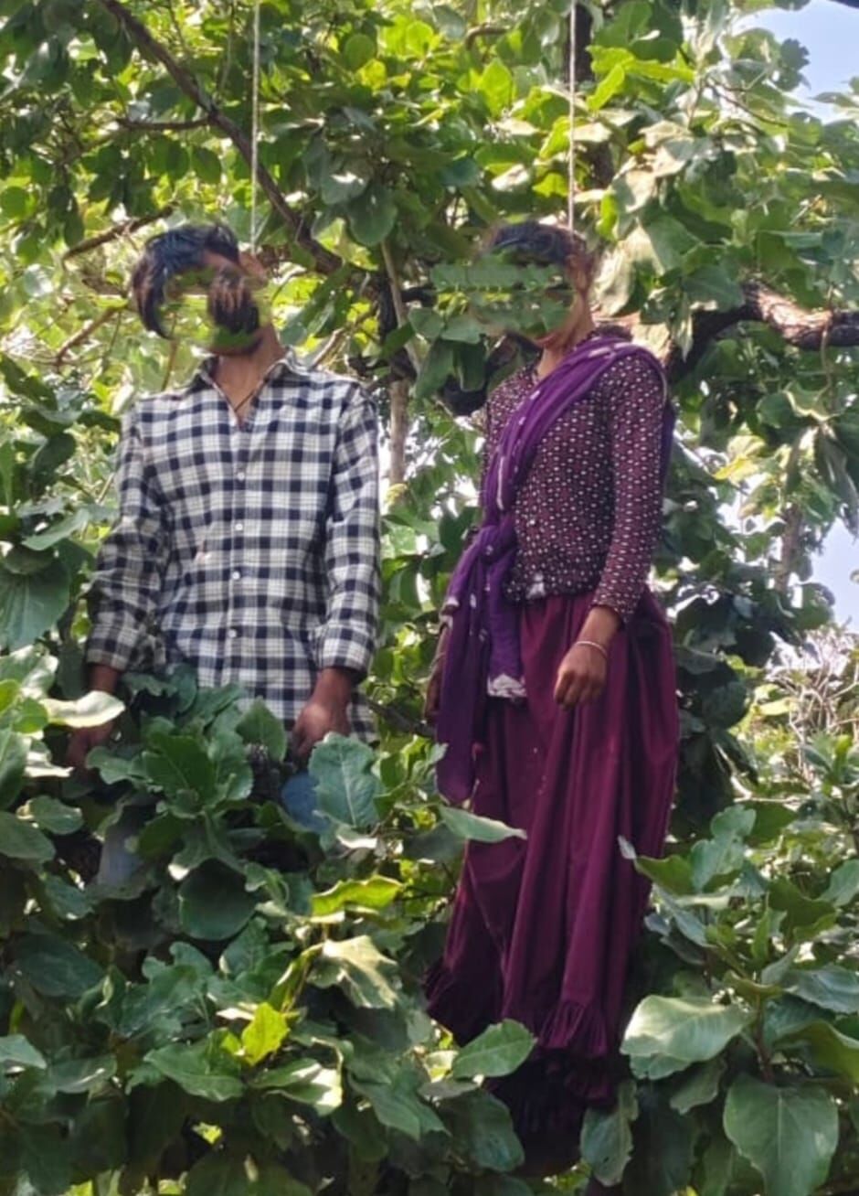 MP News : पेड़ पर फंदे से लटके मिले युवक-युवती के शव, जांच में जुटी पुलिस