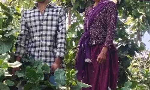 MP News : पेड़ पर फंदे से लटके मिले युवक-युवती के शव, जांच में जुटी पुलिस