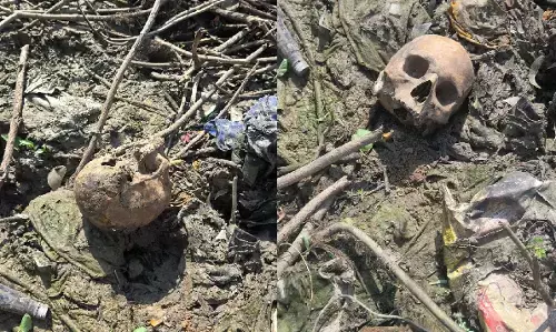 CG News : नाली निर्माण के लिए खुदाई कर रहे मजदूरों को मिला मानव कंकाल, झाड़ियों में खोपड़ी मिलने से मचा हड़कंप