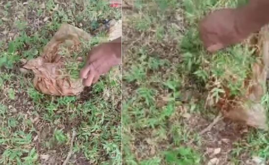 Bhilai severed head found: भिलाई के सिविक सेंटर के पीछे नाली की सफाई के दौरान मिला सड़ा हुआ कटा हुआ सिर, इलाके में दहशत