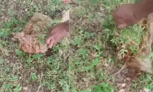 Bhilai severed head found: भिलाई के सिविक सेंटर के पीछे नाली की सफाई के दौरान मिला सड़ा हुआ कटा हुआ सिर, इलाके में दहशत