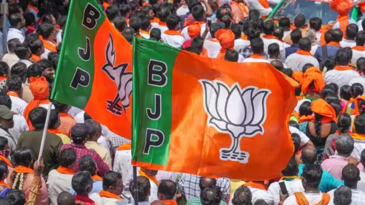 Chhattisgarh BJP: प्रदेश स्तर पर जनजातीय गौरव दिवस के लिए भाजपा ने की पदाधिकारियों की नियुक्ति, देखें पूरी सूची