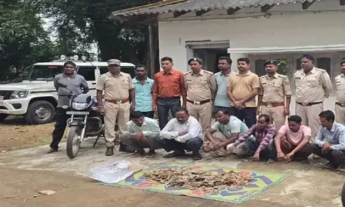 CG News : वन विभाग की बड़ी कार्रवाई, 14 किलो पैंगोलिन शल्क के साथ 6 तस्कर गिरफ्तार