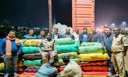MP Crime : पेंट के डिब्बों में छिपाकर हो रही थी गांजे की तस्करी, 871 किलो गांजा जब्त, दो आरोपी गिरफ्तार